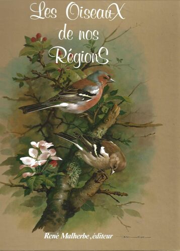 Les Oiseaux De Nos Régions