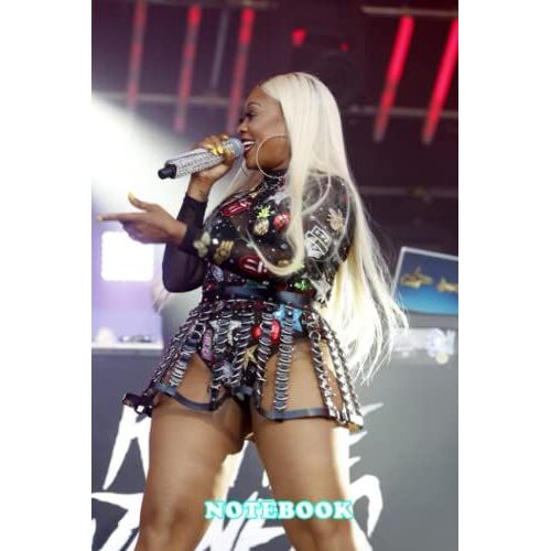 Notebook : Trina Rapper Lined Notebook Journal, 100 Pages - Thankgiving Notebook Blank Ruled Writing Journal #522