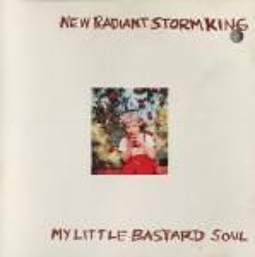 My Little Bastard Soul