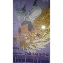 Dragon Ball T 40 Duel Sous La Lune