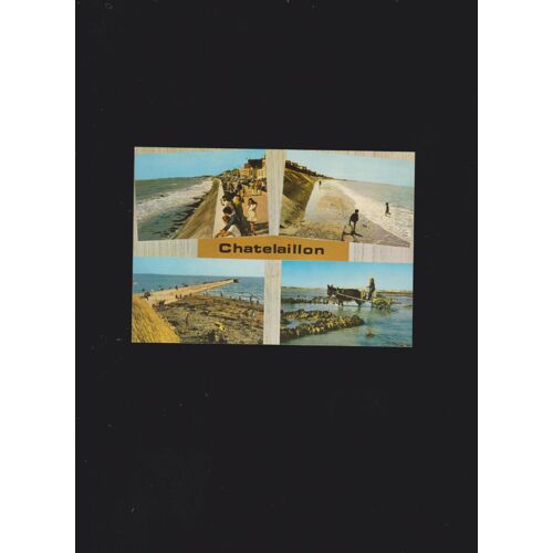 Carte Postale Chatelaillon (Charente Maritime) : Le Remblai Et Les Boucholeurs