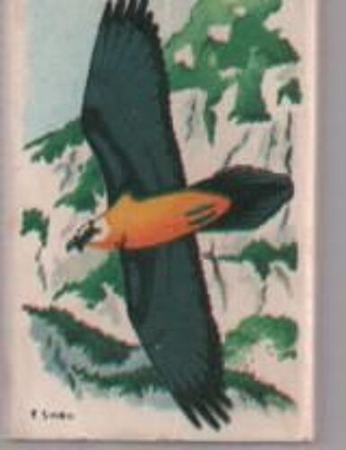 Petite Boîte D'allumettes Wwf Gypaete Barbu