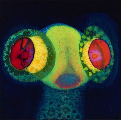 Osees - Sorcs 80 [Compact Discs]