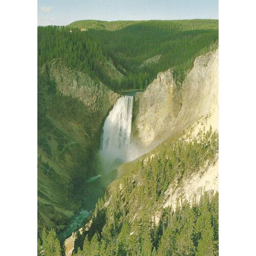 Yellowstone National Park - Lower Falls - Grand Canyon Of Yellowstone