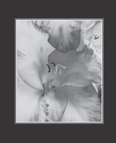 Composition Notebook: Original Art: Bland & White Photography: Flower: Iris