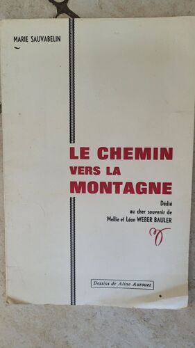 Le Chemin Vers La Montagne / Marie Sauvabelin