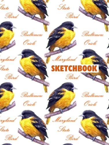 Maryland State Bird: Baltimore Oriole Sketchbook