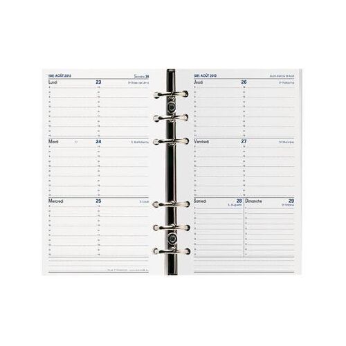 Quo Vadis 269 004 Q