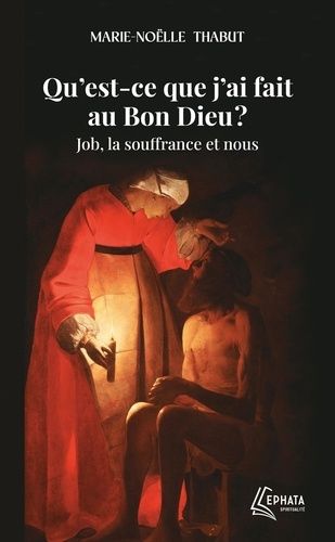 Qu'est-Ce Que J'ai Fait Au Bon Dieu ? - Job, La Souffrance Et Nous