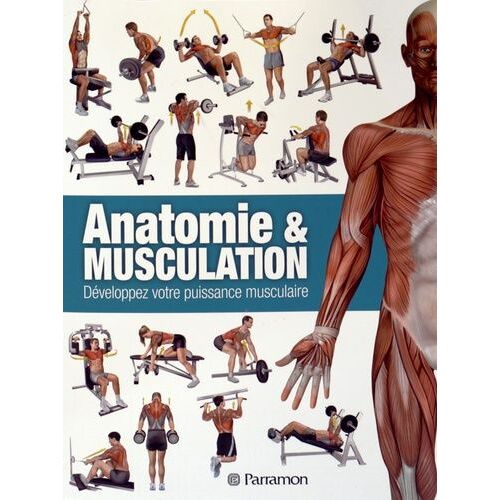 Anatomie & Musculation - Développez Votre Puissance Musculaire