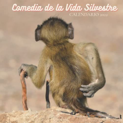 Comedia De La Vida Silvestre Calendario 2022: Calendario 2022 8.5''x8.5'' - Regalos Para Familiares Y Amigas Amigos - Animales Divertidos