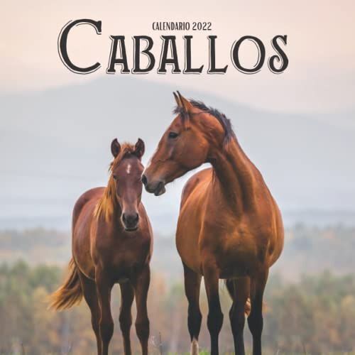 Caballos Calendario 2022: Calendario 2022 8.5''x8.5'' - Regalos Para Familiares Y Amigas Amigos - Animales Divertidos