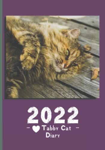 Cat Diary 2022: Gorgeous Tabby Cat Cover On A 2022 Diary With A Week To View, 7 By 10 Inches, With Sections For 'priorities' And 'to Do' Lists, Annual ... And 2023, And An Extra Section For 'notes'