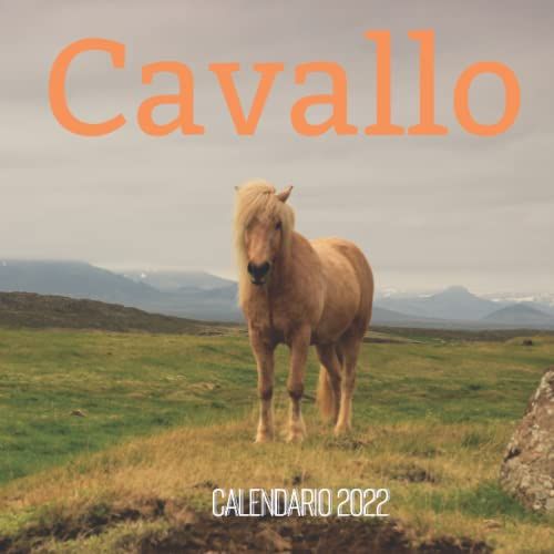 Cavallo Calendario 2022: Calendario 2022 8.5''x8.5'' - Regali Per La Famiglia E Gli Amici - Animali Divertenti