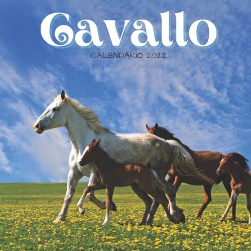 Cavallo Calendario 2022: Calendario 2022 8.5''x8.5'' - Regali Per La Famiglia E Gli Amici - Animali Divertenti
