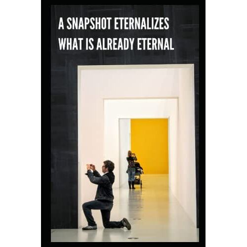A Snapshot Eternalizes What Is Already Eternal