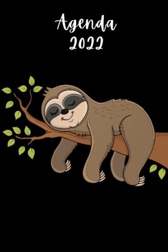Agenda Settimanale: Diario Planner Calendario Pianificatore Giornaliera | 2 Pagine = 1 Settimana | Per Una Gestione Perfetta Del Tempo | Bradipo , Sloth | Idee Regalo Donna Uomo