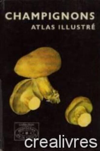 Champignons Atlas Illustré