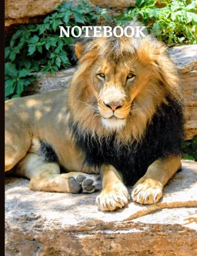 Notebook: Lion V/S Tiger Picture Covered Composition Notebook College Ruled 110 Pages Large 8.5*11 Paperback