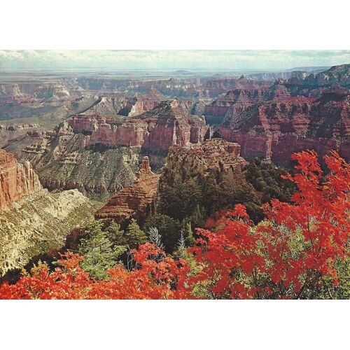 Autumn On The North Rim - Grand Canyon National Park, Arizona