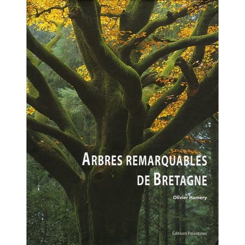 Arbres Remarquables De Bretagne