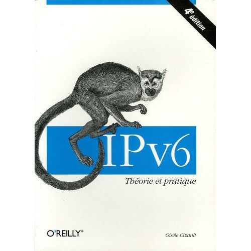 Ipv6 - Théorie Et Pratique