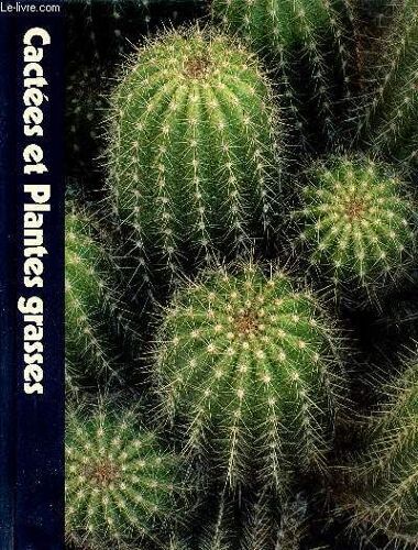 Cactées Et Plantes Grasses