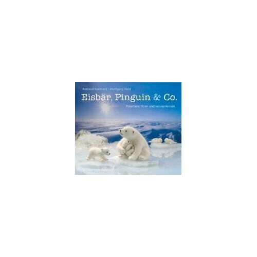 Eisbär, Pinguin & Co.