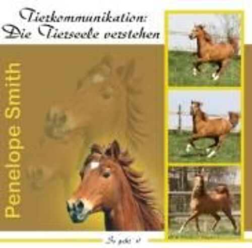 Tierkommunikation: Die Tierseele Verstehen. Audio-Cd