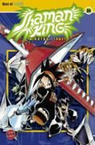 Takei, H: Shaman King 24