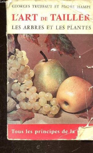 L Art De Tailler Les Arbres Et Les Plantes
