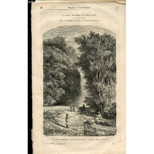 Le Magasin Pittoresque - Livraison N°40 - Le Jardin Botanique De Saint Pierre À La Martinique