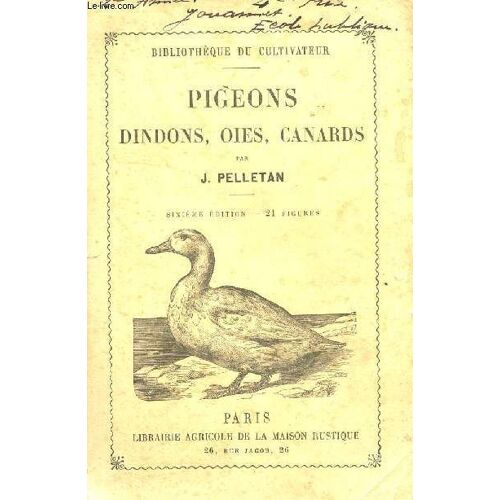 Pigeons Dindons. Oies. Canards