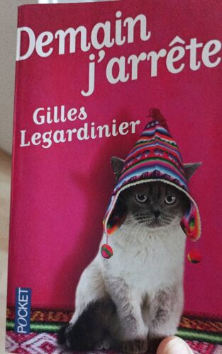 Demain J Arrête  De Gilles Legardinier