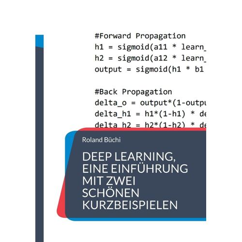 Deep Learning, Eine Einführung Mit Zwei Schönen Kurzbeispielen