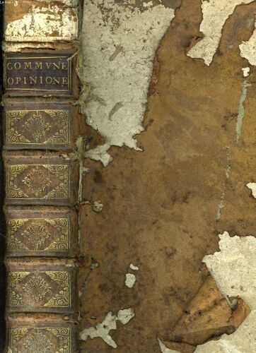 Communes Sententiae Sive Opiniones Iuris Consultorum E Ivris Caesa-Rei.