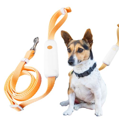 Laisse De Chien Pour Animaux De Compagnie Laisses 65 Pouces De Long Chien Laisses Ajustable Pour Animaux De Compagnie Laisse Boucle Chien Laisse Pour Chiens De Chiot De Chien Laisse Avec Sac Crochet