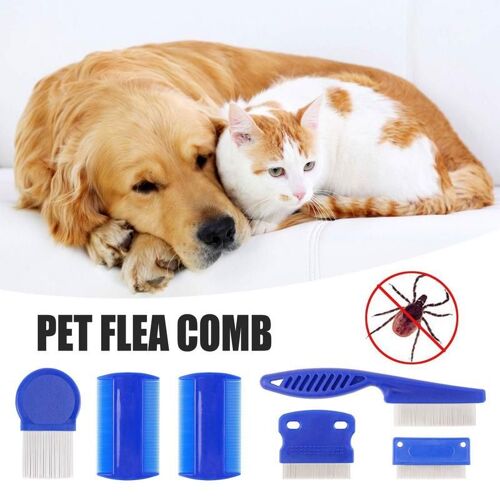 Peigne À Puces En Acier Inoxydable Pour Animaux Domestiques, 6 Pièces, Accessoire De Soins Pour Chats Et Chiens, Confortable