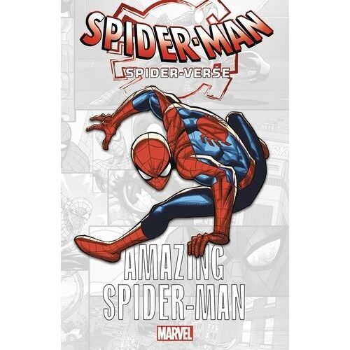 Spider-Man - Spider-Verse - Amazing Spider-Man