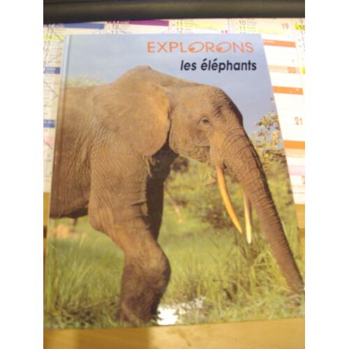 Elephants (Monde Des)