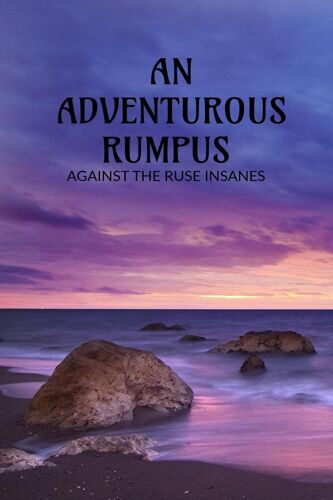 An Adventurous Rumpus