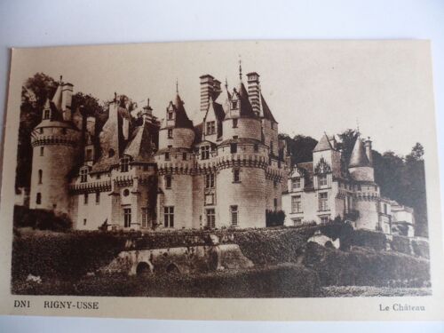 37 - Rigny - Usse  , Le Chateau , Cp Vierge