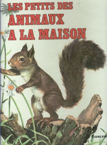 Les Petits Des Animaux À La Maison