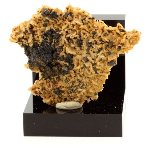 Tetrahedrite Sur Dolomite. 82.1 Ct. Usclas-Du-Bosc Quarry, Hérault, France. Ultra Rare.