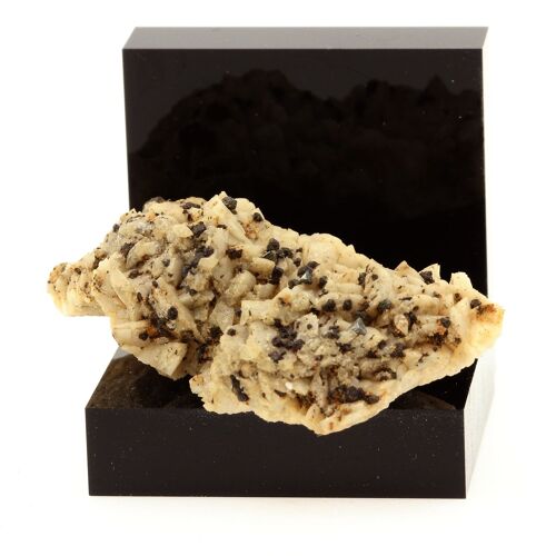 Tetrahedrite Sur Dolomite. 151.1 Ct. Usclas-Du-Bosc Quarry, Hérault, France. Ultra Rare.