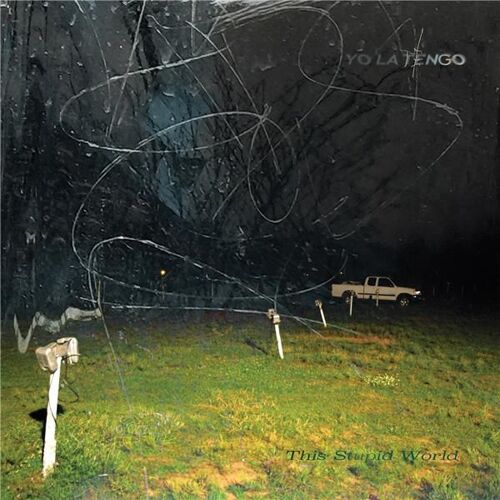 This Stupid World - Vinyle