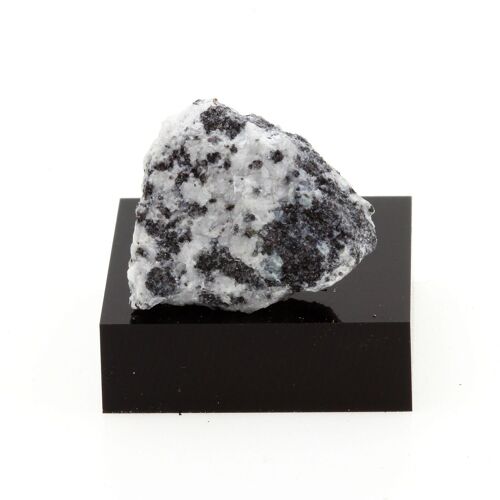 Ludwigite. 31.1 Ct. Allemagne.