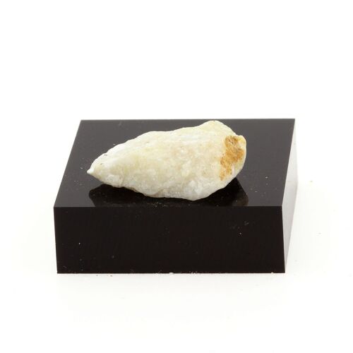 Flos Ferri. 13.6 Cts. Lanark, Ontario, Canada.