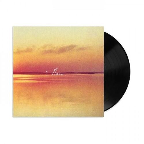 Norm - Vinyle 33 Tours