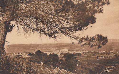 Saint-Maximin (Var) Vue Générale